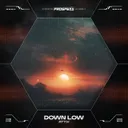 Cover of Down Low