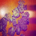 Purple Haze by Dozer - Euphoric Hardstyle cover art