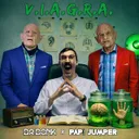 V.I.A.G.R.A. by Dr Donk, Papi Jumper - Hardstyle cover art