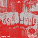 FOREVER by DR. OBLITERANE, Jake Fill - Hard Techno cover art