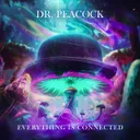 Everything is Connected by Dr. Peacock - Frenchcore cover art