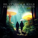 Path Of The Wisemen by Dr. Peacock, Billx - Frenchcore cover art