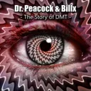 The Story of DMT by Dr. Peacock, Billx - Frenchcore cover art