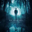 Traceless by Dr. Peacock - Frenchcore cover art