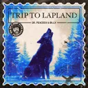 Trip to Lapland by Dr. Peacock, Billx - Frenchcore cover art