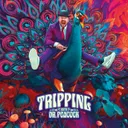 Trip to Uzbekistan by Dr. Peacock - Frenchcore cover art