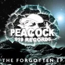 Walking In The Air - Original Mix by Dr. Peacock - Frenchcore cover art