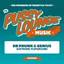 Electronic Playground by Dr Phunk, Genius - Hardstyle cover art