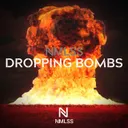 Cover of Dropping Bombs