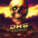 Voices In My Head x Love Parade by DRS - Uptempo cover art