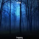 Frequency by DTKØ - Hard Techno cover art