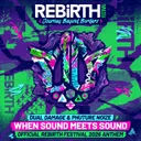 When Sound Meets Sound - Official REBiRTH Festival 2026 Anthem by Dual Damage, Phuture Noize - Hardstyle cover art