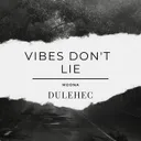 Vibes Don't Lie by Dulehec - Hardstyle cover art