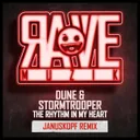 The Rhythm In My Heart - Januskopf Remix by Dune, Stormtrooper, Januskopf - Happy Hardcore cover art