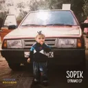 Cover of Dynamo - Original Mix