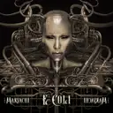Gypsy Friends by E-Coli, Figcake - Frenchcore cover art