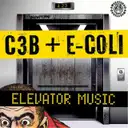 Washington Squared by E-Coli, C3b - Frenchcore cover art