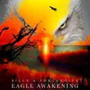 Cover of Eagle Awakening