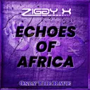 Cover of Echoes of Africa
