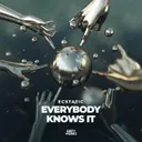 Everybody Knows It by Ecstatic - Hardstyle cover art