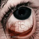Bassline Junkie by ECZODIA - Hard Techno cover art