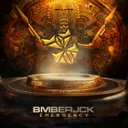 Cover of Emergency