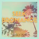 Seek Bromance by Emily Fox - Hardstyle cover art