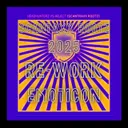 Scantraxx Rootz 2K25 Rework by Emoticon - Hardstyle cover art