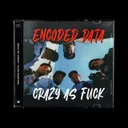 Crazy As Fuck by Encoded Data - Hard Techno cover art