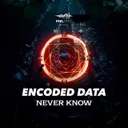 Never Know by Encoded Data - Hard Techno cover art