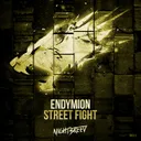 Street Fight - Original Mix by Endymion - Hardstyle cover art