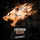 Testify - Original Mix by Endymion - Hardstyle cover art