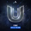Never Let You Down by Eternate - Hardstyle cover art