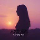 Why did we ? by Eternityz - Hardcore cover art