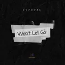 Won't Let Go by Euphore - Hardstyle cover art