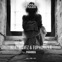 Paranoia by Euphorizer, Heatwavez - Euphoric Hardstyle cover art