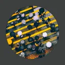 Cover of Everybody Rage