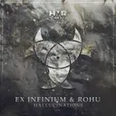 Hallucinations by Ex Infinium, Rohu - Hardstyle cover art