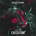 Cover of Execution