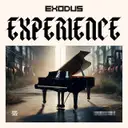 Experience by Exodus - Hardstyle cover art