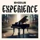 Cover of Experience