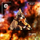 Wild Love by Fading Memories - Hardstyle cover art