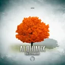 Cover of Fall Foward