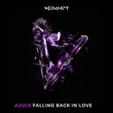 Cover of Falling Back In Love