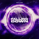 Cover of Falling Down