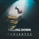 Cover of Falling Down