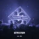 Cover of Falling Down