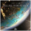Cover of Falling from Heaven