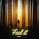 Cover of Feel It