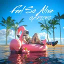 Cover of Feel So Alive